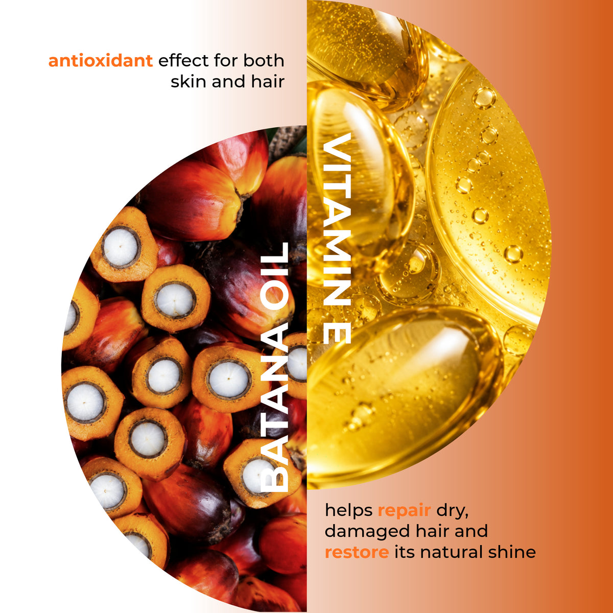 Batana Scalp and Hair Oil 